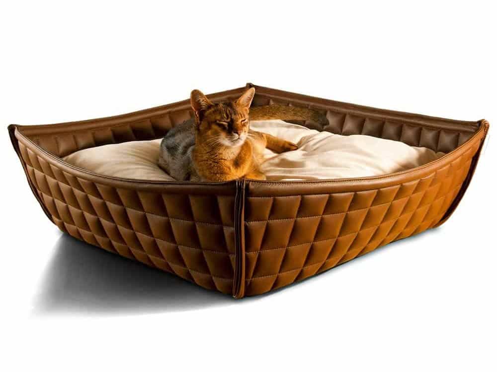 Gatto abissino nella classica cesta per gatti in pelle di pet-interiors.